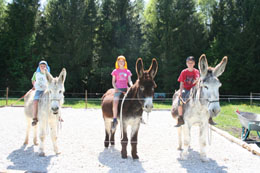 Kinderkurs Horsemanship mit Esel