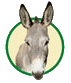 Logo von Asinella