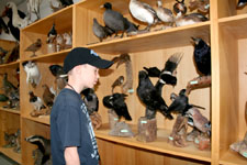 Tiere in der Jagdschule anschauen