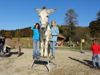 Kindergeburtstag am Eselstall
